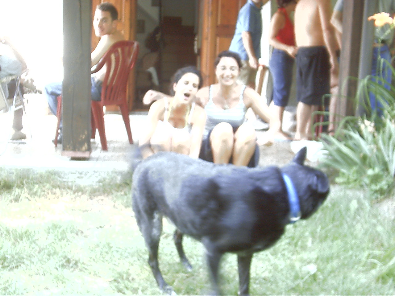 IMAG0068.JPG