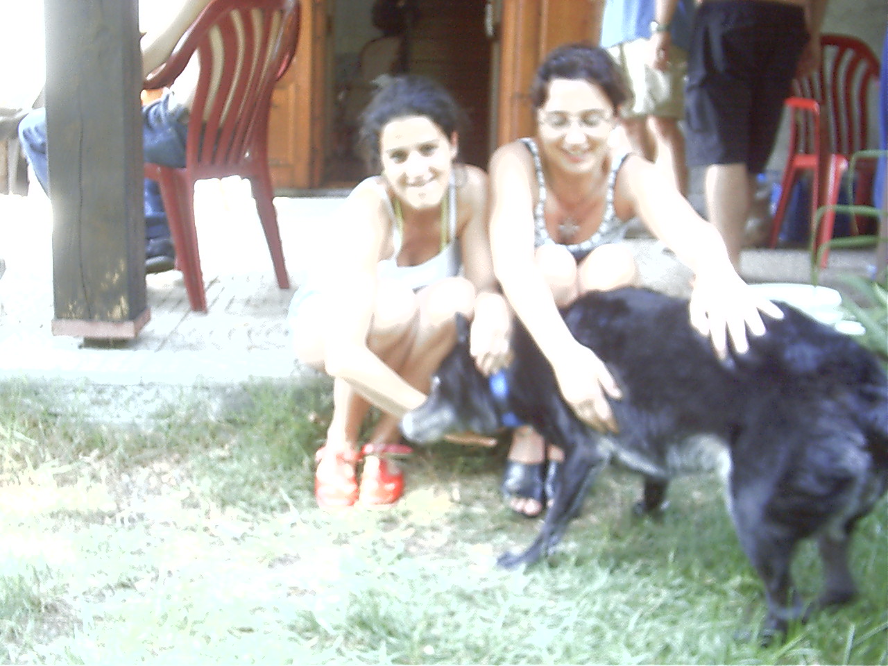 IMAG0069.JPG