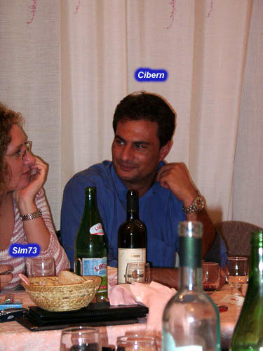 0301_cibern_slm.jpg
