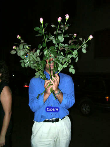 0622_cibernfiori.jpg