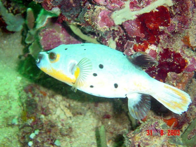 dsc00042.jpg