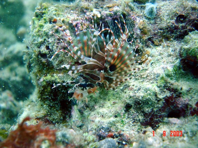 dsc00128a.jpg
