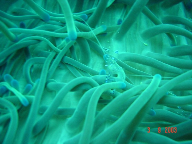 dsc00284.jpg