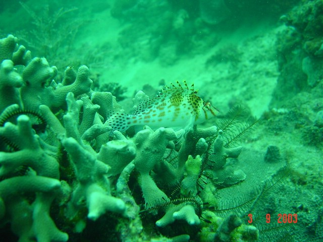 dsc00317.jpg