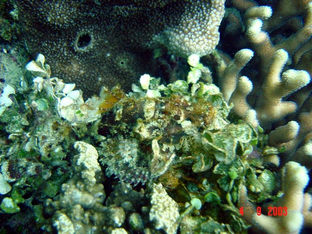 dsc00407a.jpg