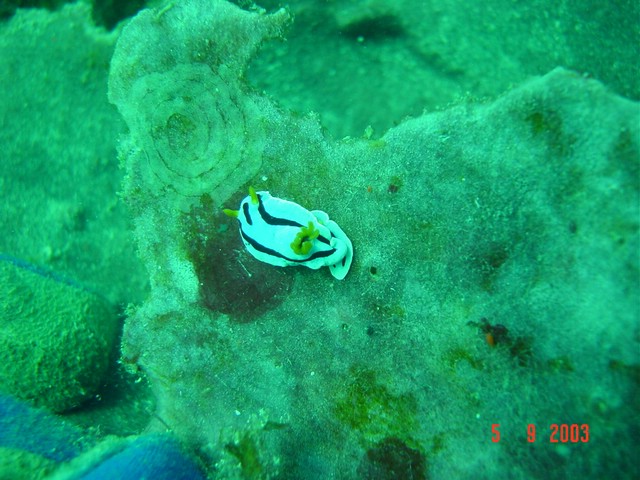 dsc00424.jpg