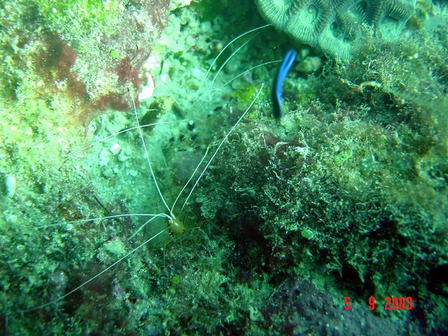 dsc00432a.jpg