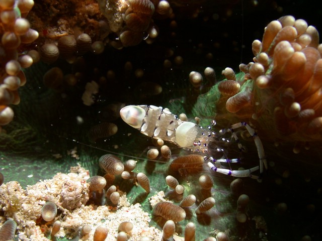 dscn5540.jpg