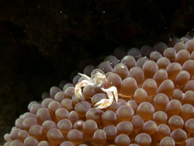 dscn5559.jpg
