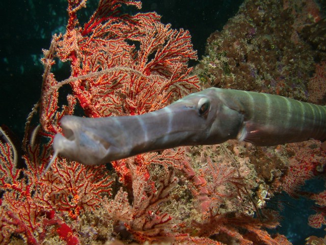 dscn5596.jpg