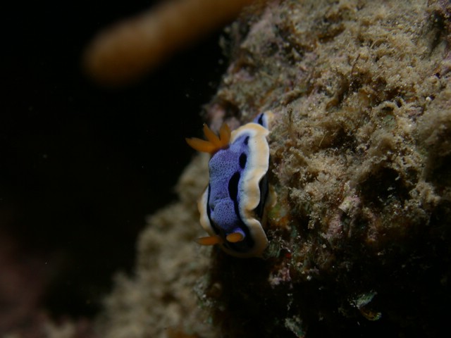 dscn5621.jpg