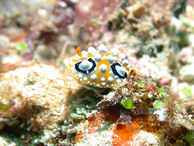 dscn5660.jpg