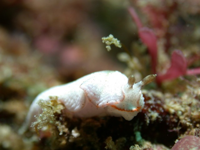 dscn5663.jpg