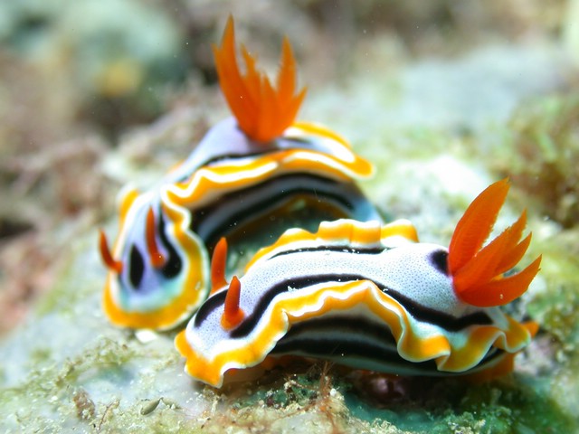 dscn5675.jpg