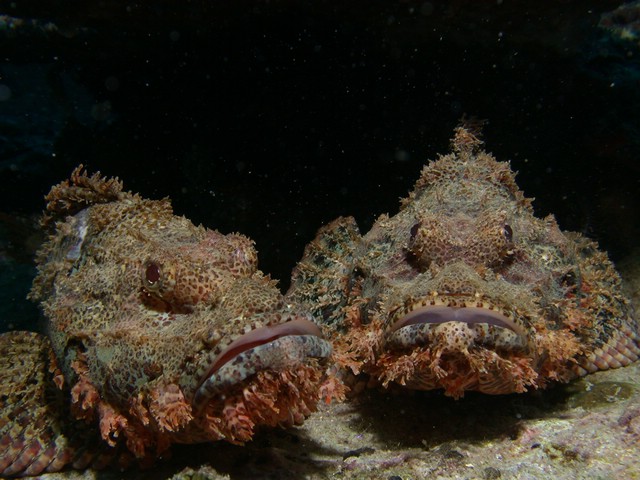 dscn5733.jpg