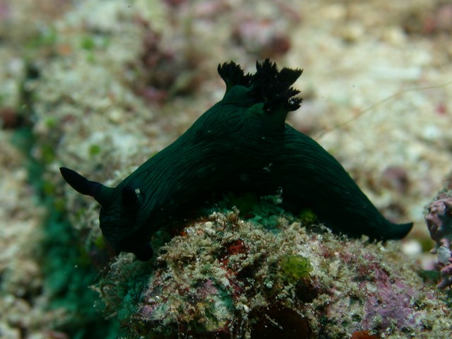 dscn5772.jpg
