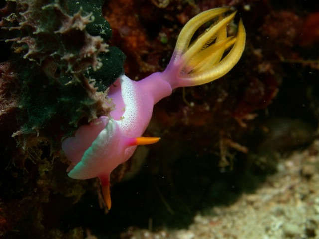 dscn5792.jpg