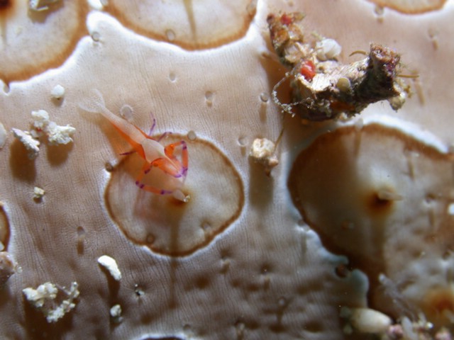 dscn5795.jpg