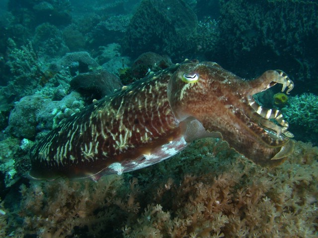 dscn5823.jpg