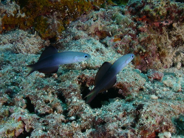 dscn5885.jpg