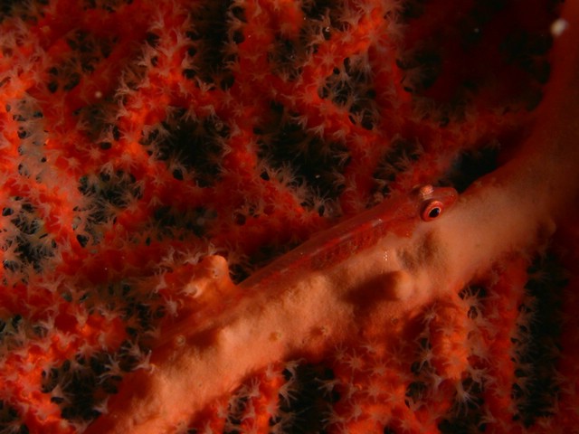 dscn5908.jpg
