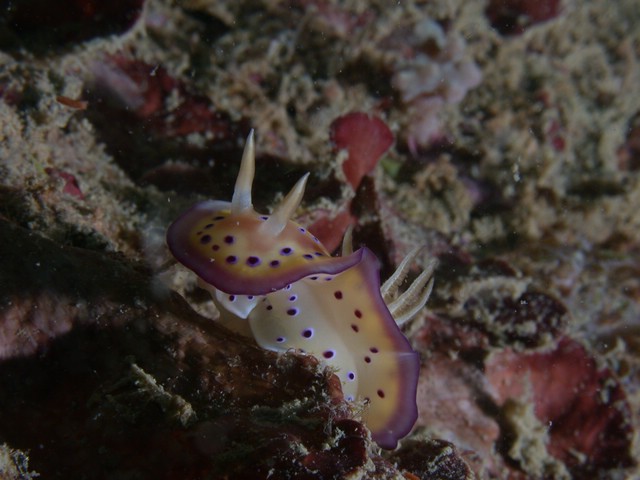dscn6028.jpg