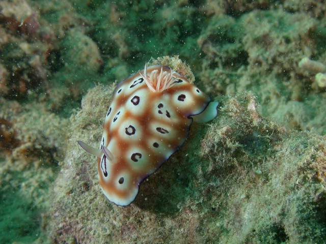 dscn6037.jpg