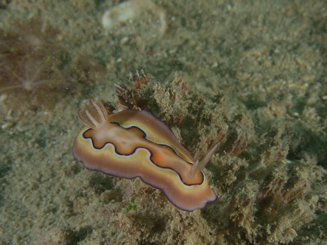 dscn6053.jpg