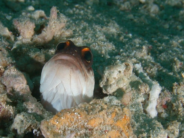dscn6087.jpg