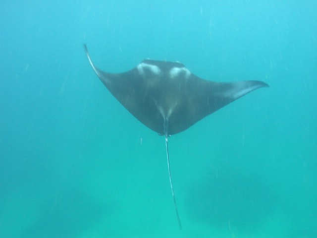dscn6108.jpg