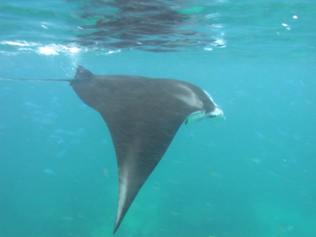dscn6144.jpg