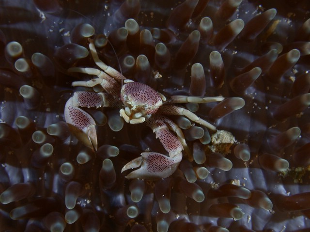 dscn6351.jpg