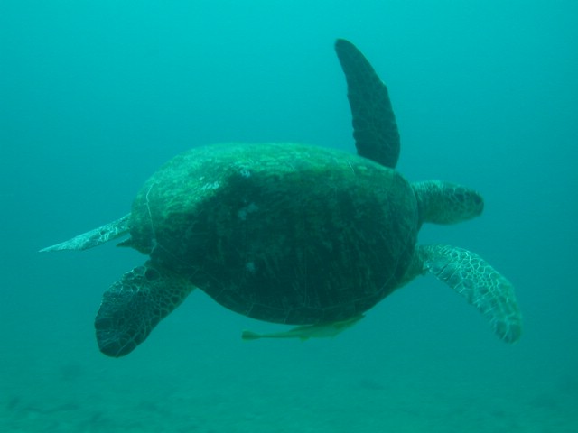 dscn6361.jpg