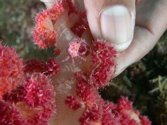 dscn6366.jpg