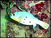 dsc00042.jpg