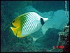 dsc00118a.jpg