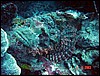 dsc00158a.jpg