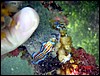 dsc00220a.jpg