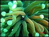 dsc00246a.jpg