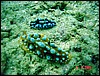 dsc00257a.jpg