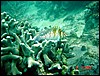 dsc00317a.jpg