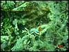 dsc00386.jpg