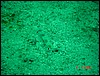dsc00392.jpg