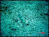 dsc00392a.jpg