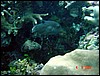 dsc00404a.jpg