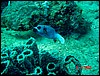 dsc00416a.jpg