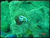 dsc00424.jpg