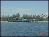 dsc00436.jpg