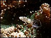 dscn5540.jpg