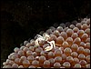 dscn5559.jpg